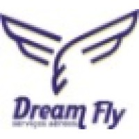 Dream Fly Logo