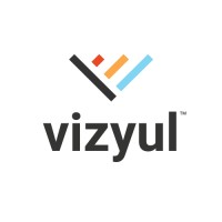VIZYUL LLC Logo
