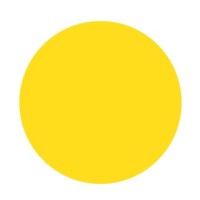 Light for the World Belgium Logo