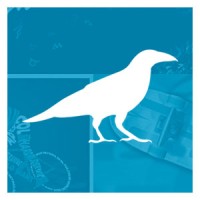 Studio de Raaf Logo