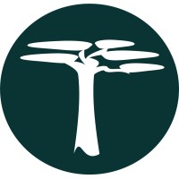 Mbuyu Capital Partners Ltd Logo