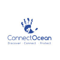 ConnectOcean Logo