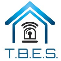 Tampa Bay Electronic Systems (TBES) Logo