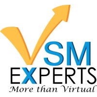 VSM Experts Logo