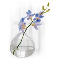 Personal Risk Management Solutions Logo