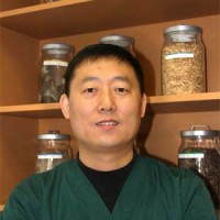 Dr. Yu’s Acupuncture Clinic Logo