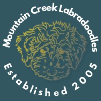 Mountain Creek Labradoodles LLC Logo