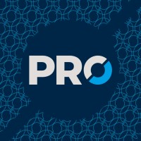 Agência PRO Logo