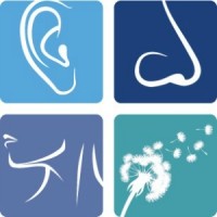 ENT and Allergy Specialists Logo