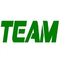 TEAM Software Innovations INC Logo