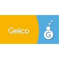 Geiico Logo