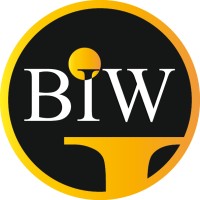 BIW Agency - Best Imaging Web Logo
