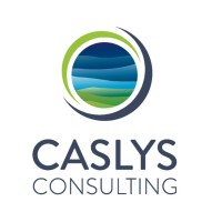 Caslys Consulting Ltd. Logo