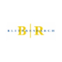 Blitz Research, Inc. Logo
