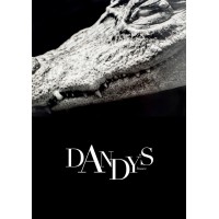 Dandys France Logo