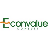 Econvalue Consult Logo
