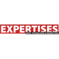 Expertises des systèmes d’information Logo