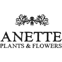 Anette Flowers Logo