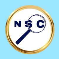 NetSysCon Consulting (Hiring Leaders) Logo