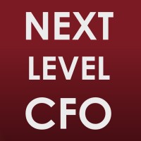 TheNextLevelCFO.com Logo