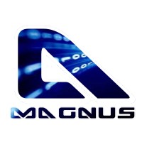 A MAGNUS DA SILVA - CONSULTORIA ME Logo