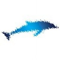 Dolphin International Communications Ltd Logo