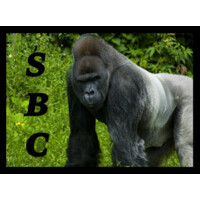 Silverback Consulting, Inc. Logo
