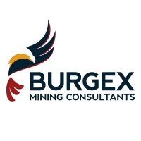 Burgex Mining Consultants Logo