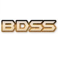 BDSS (Big Data Secured Solutions ) Logo