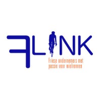 Team FLINK Logo