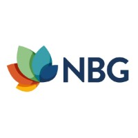 NBG Ingenieure AG Logo