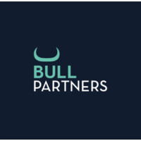 Bull Partners Logo