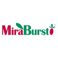 MiraBurst Logo