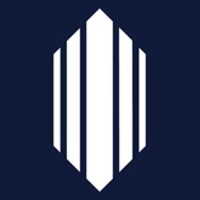LSESU Business & Investment Group Logo