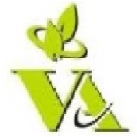 VAlterra Corporate Advisors LLP Logo