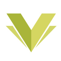 Visual Europe Group Logo