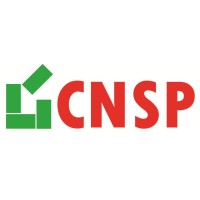 Corporate Network Solution Provider Logo