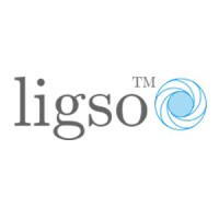Ligso Systems Logo