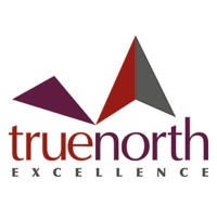 True North Excellence Logo