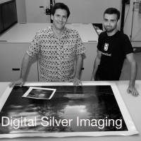 Digital Silver Imaging Logo