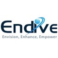 Endive Software Private Limited Logo