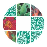 Tendercare Nurseries Logo