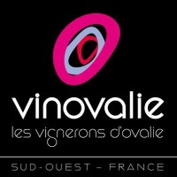 Vinovalie Logo