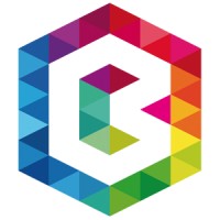 BSS Solutions Logo