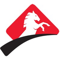 Stallion Security (Pty) Ltd Logo