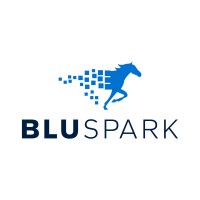 Bluspark Logo