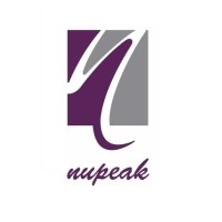 Nupeak IT Solutions LLP Logo
