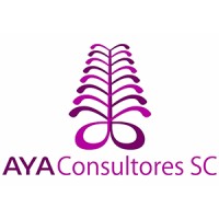 AYA Consultores Logo