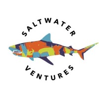 Saltwater Ventures Team at RE/MAX All Star Logo