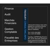 TREASURY CONSULTING INFO, S.a.r.l. Logo